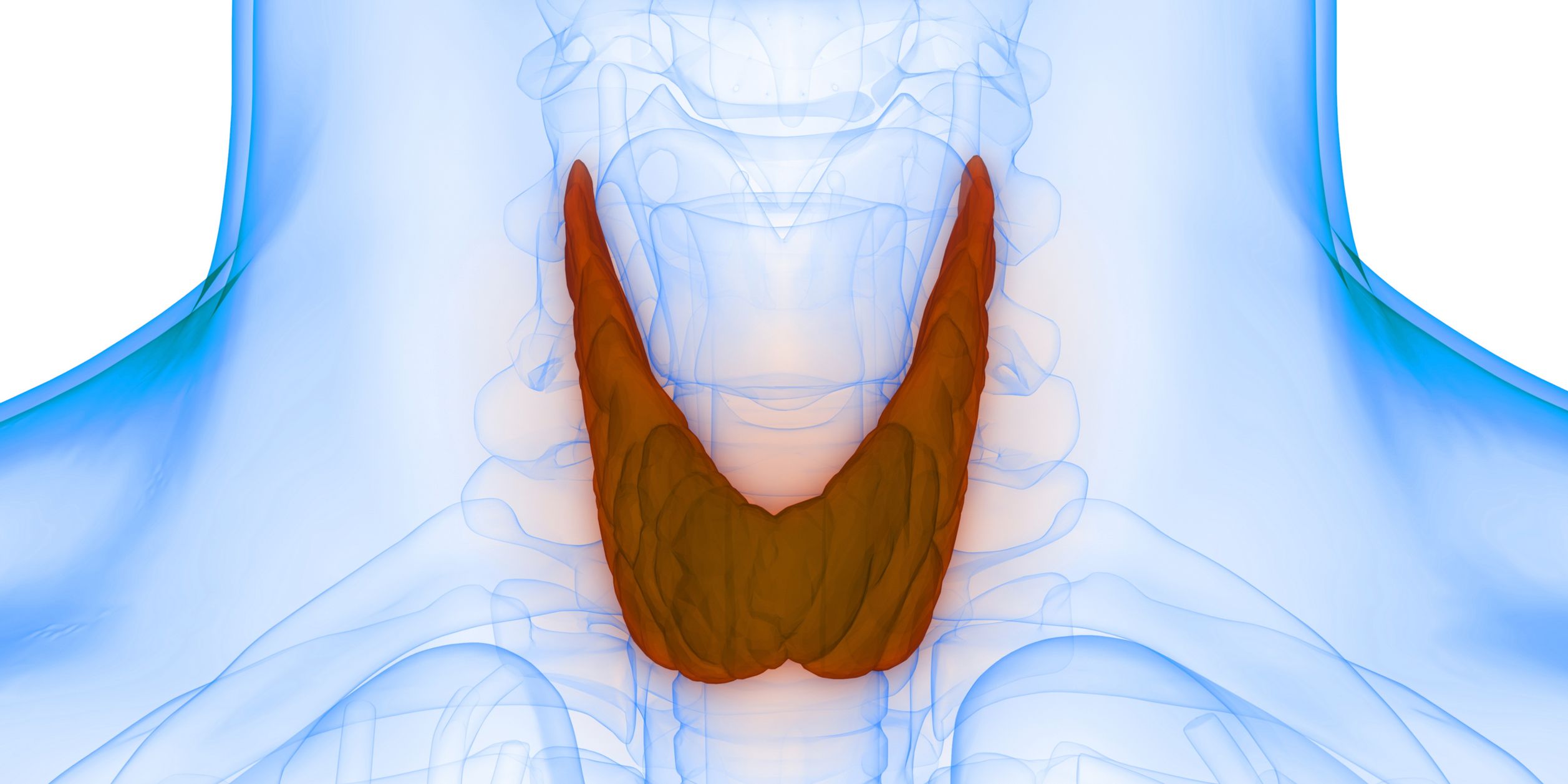 Различные заболевания щитовидной железы